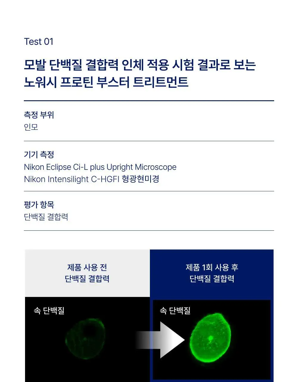 [단백질 결합] 바이오가 노워시 프로틴 부스터 트리트먼트 메티오닌 300ml (단품/기획+샴푸 50 ml) 상세페이지 9